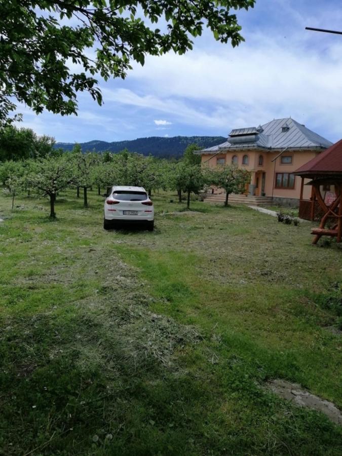 Villa Casa Ilea -Agapia Exterior foto